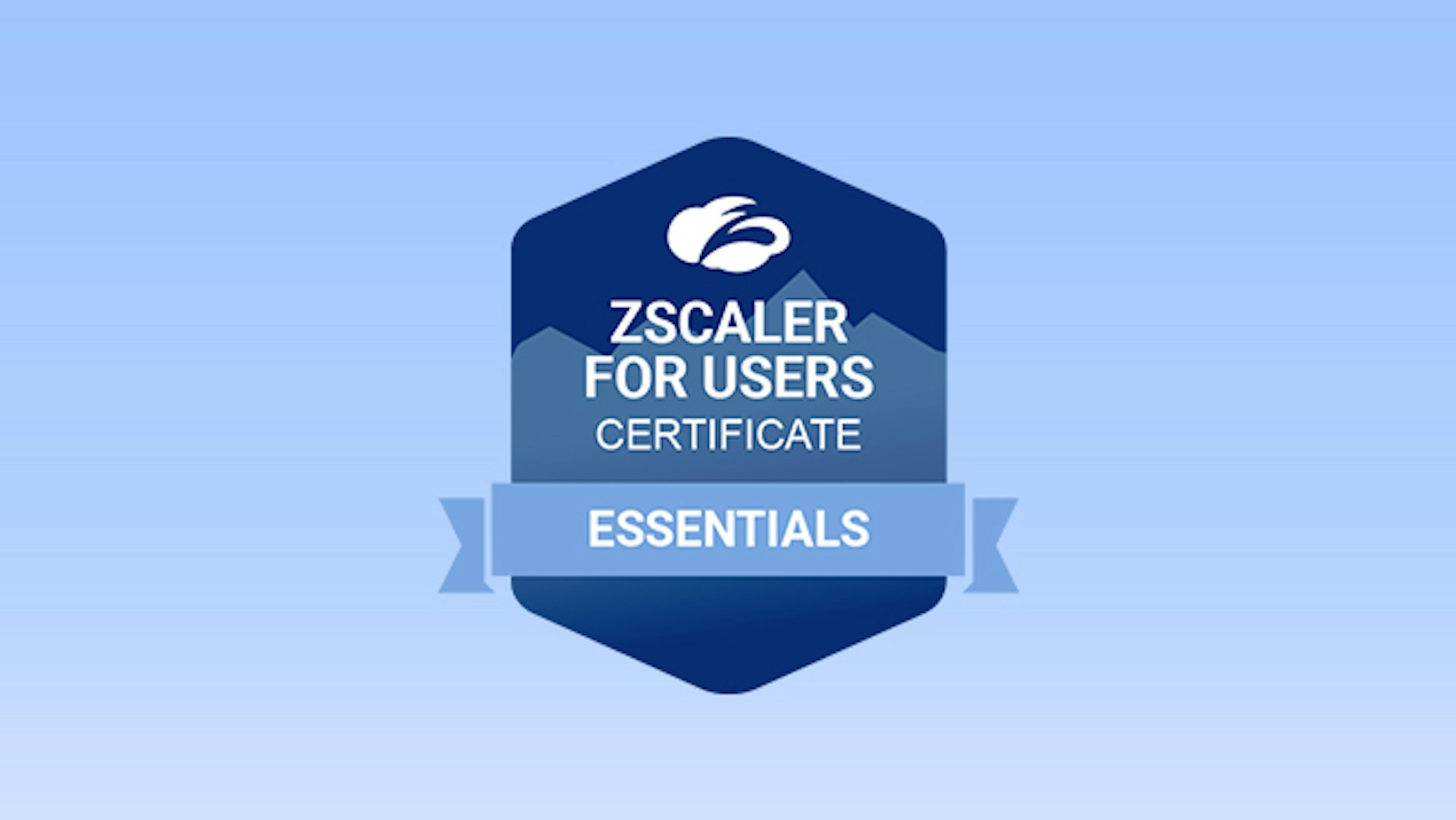 Formation Zscaler for Users – Essentials (EDU-200)